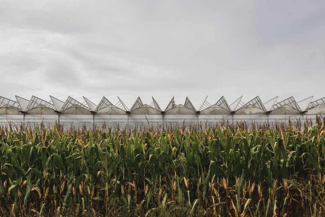 For the Benefit of All: The Best Farm & Garden Improvements of the Last Decade