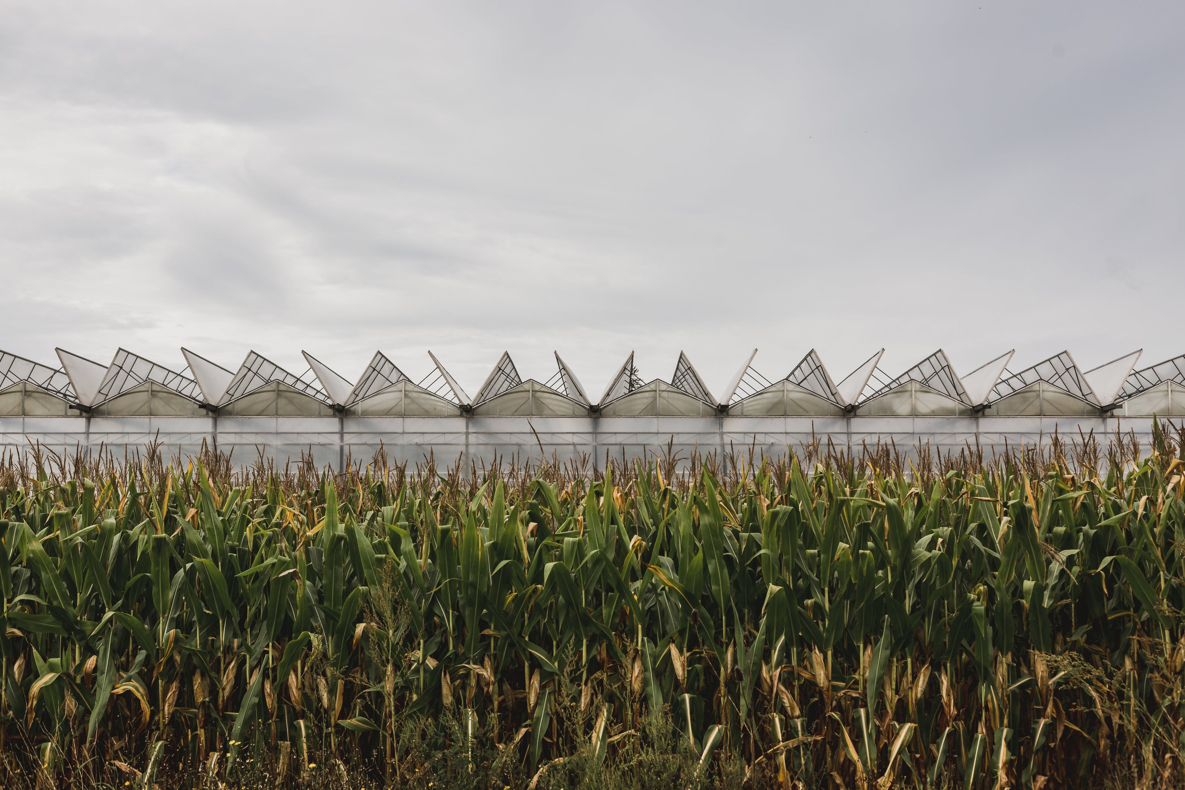 For the Benefit of All: The Best Farm & Garden Improvements of the Last Decade