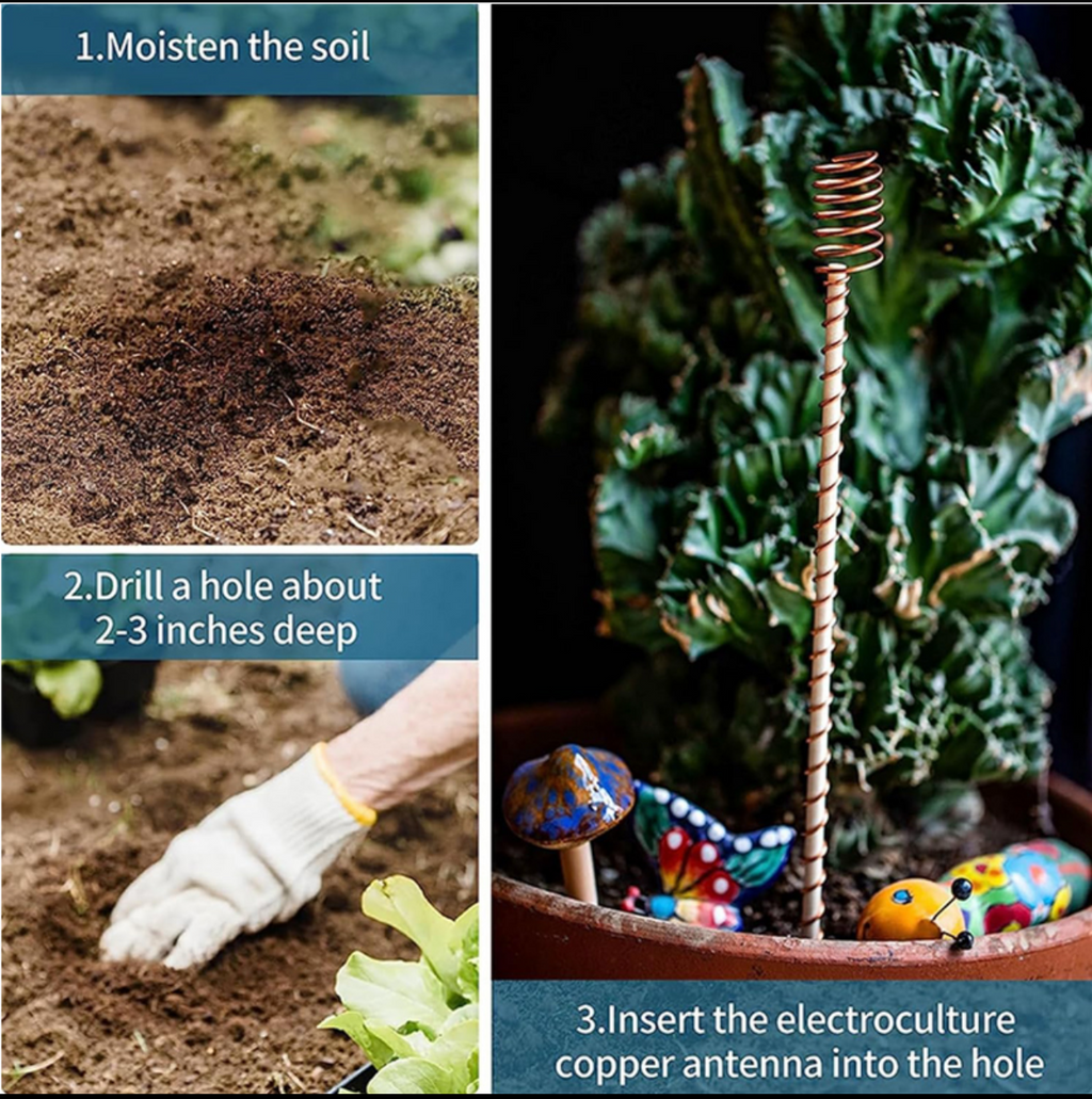 8 Pack Electroculture Copper Gardening Antenna With 3 Small Garden Tool Electroculture Plant Stake Garden Tools Copper Garden Stakes For Grow